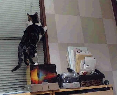 爱游戏中国官方登录入口网站-IT+足球科技创新成果频出，行业硬核科技助推未来发展，足球科技公司