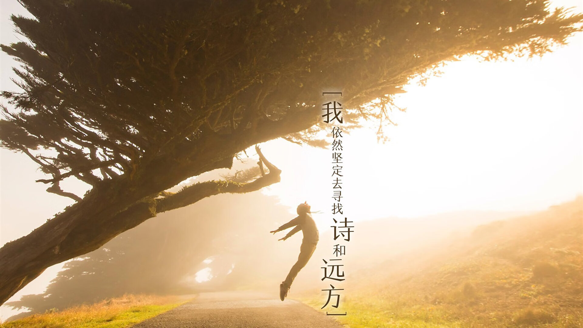 AYX官网-_城市绿道骑行节：环保出行的风尚之旅_，绿道骑自行车作文 美篇