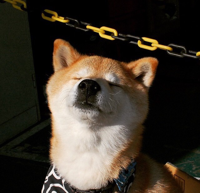 爱游戏官方网站-“足球+智慧场馆”在全国多地铺开，行业基础设施不断升级，智慧城足球场